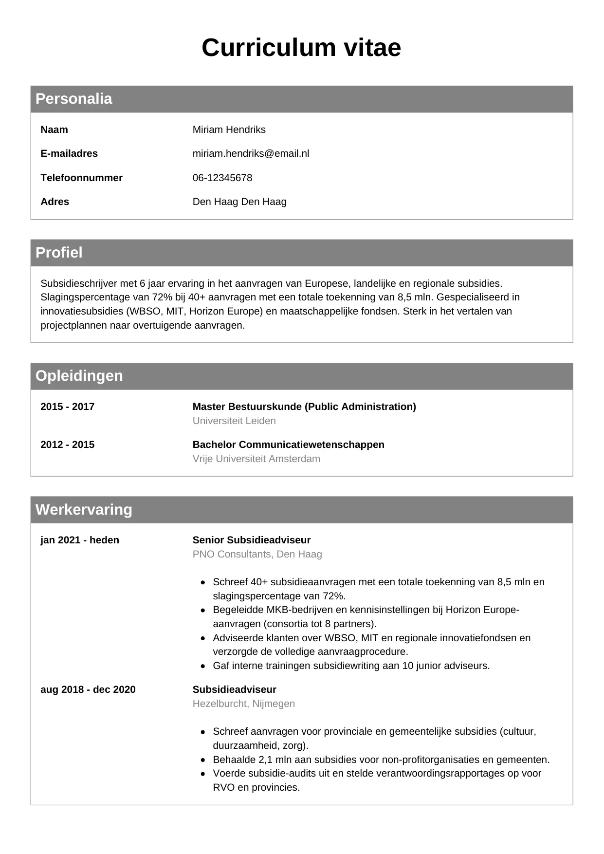 CV Klassiek voor subsidieschrijver