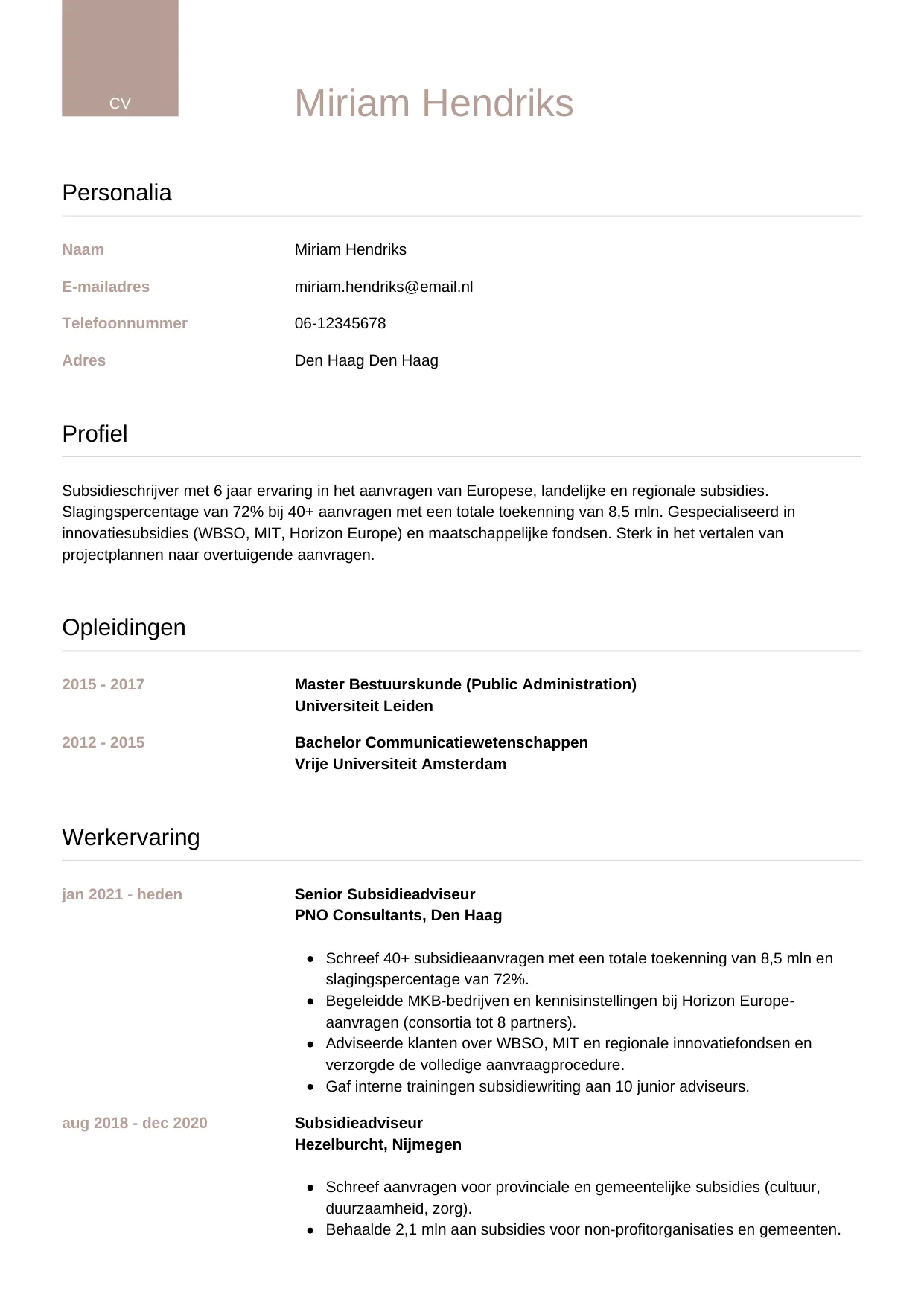 CV Luxe voor subsidieschrijver