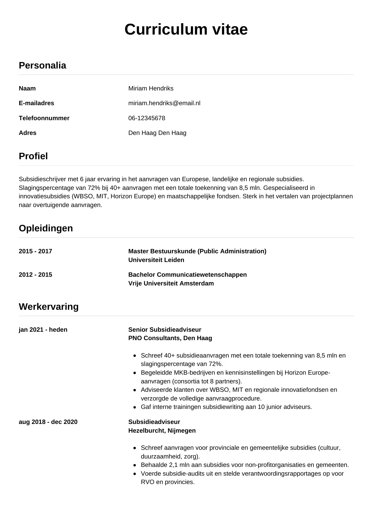 CV Simpel voor subsidieschrijver