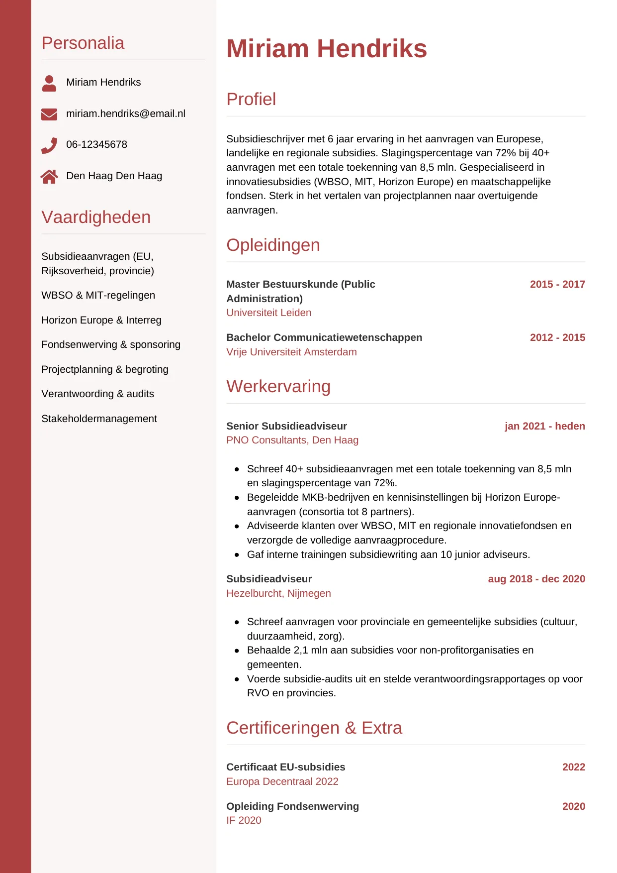 CV Verticaal voor subsidieschrijver