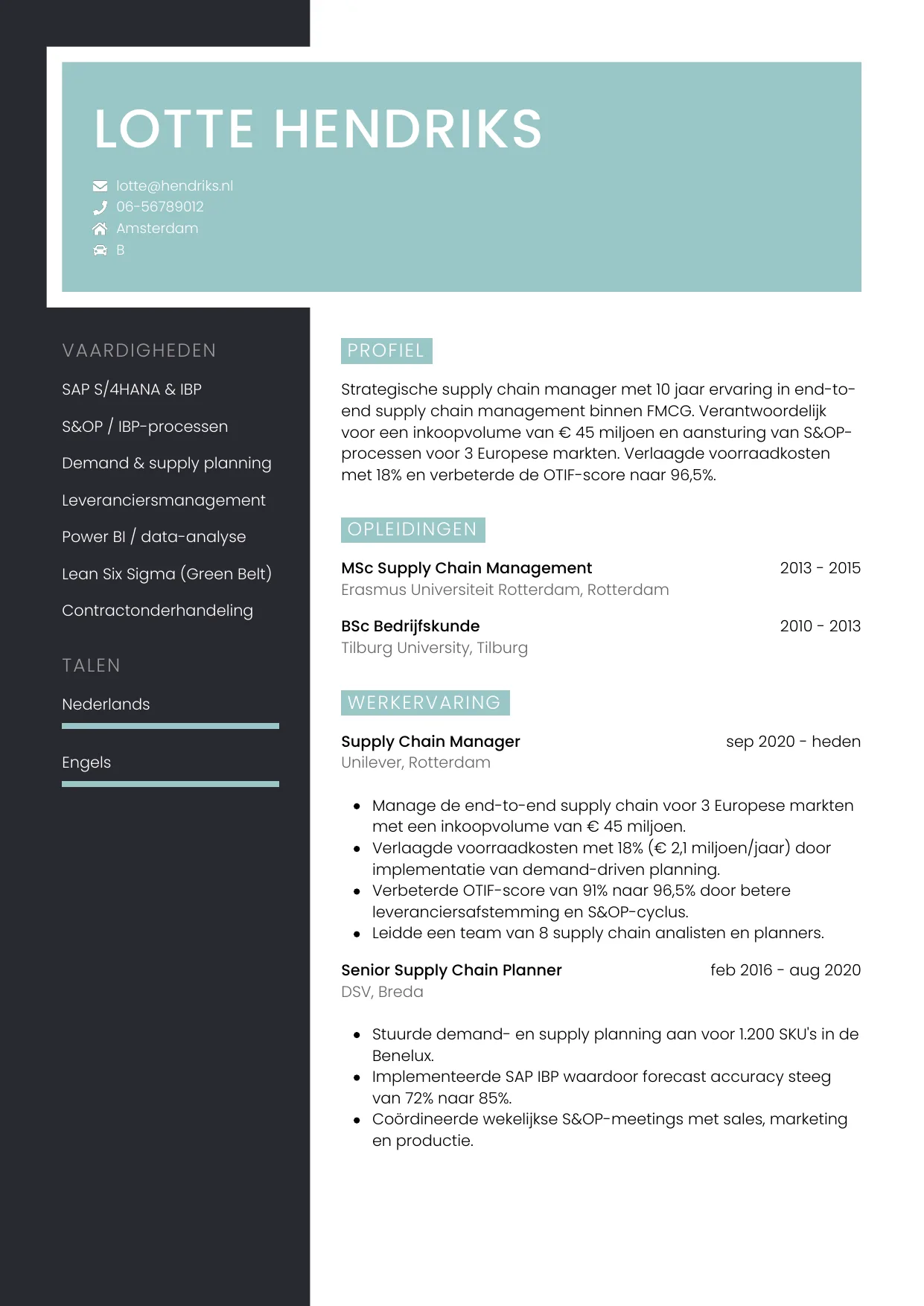 CV Elegant voor supply chain manager