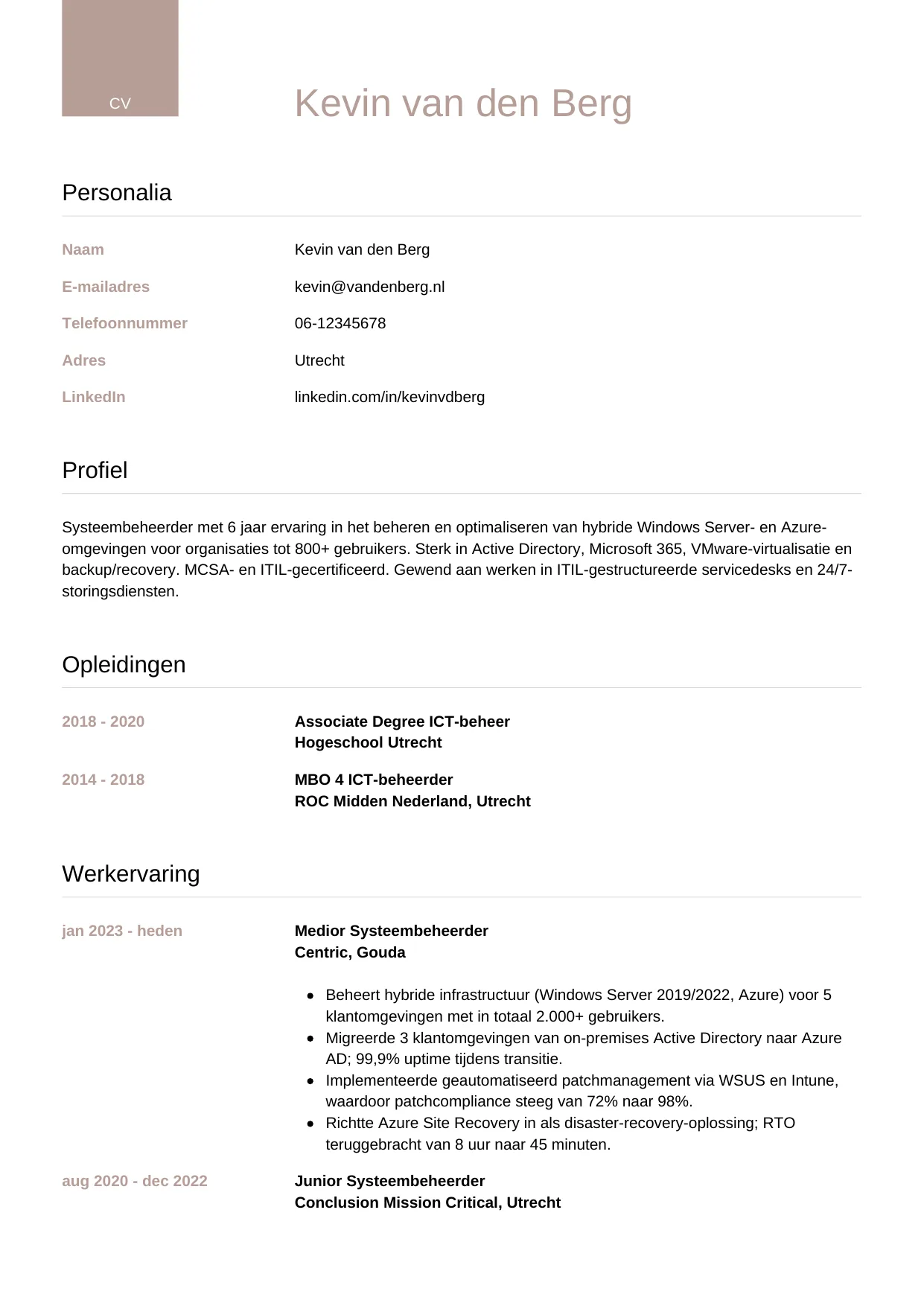 CV Luxe voor systeembeheerder