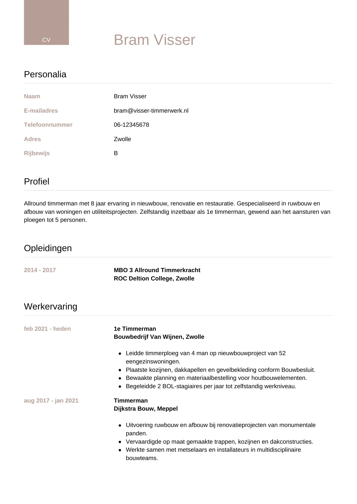 Voorbeeld CV voor timmerman in template Luxe. CV Luxe voor timmerman