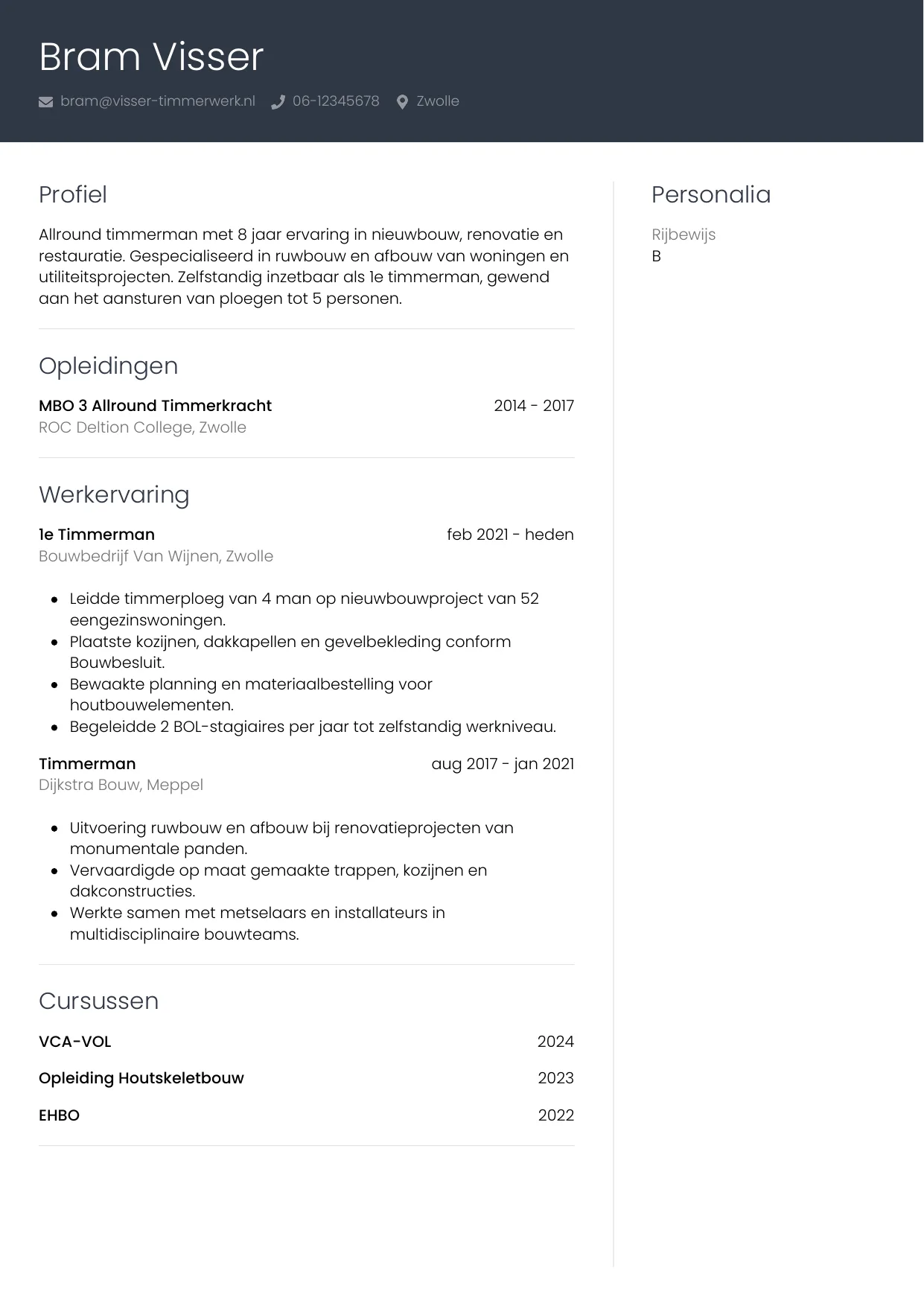 Voorbeeld CV voor timmerman in template Professioneel. CV Professioneel voor timmerman