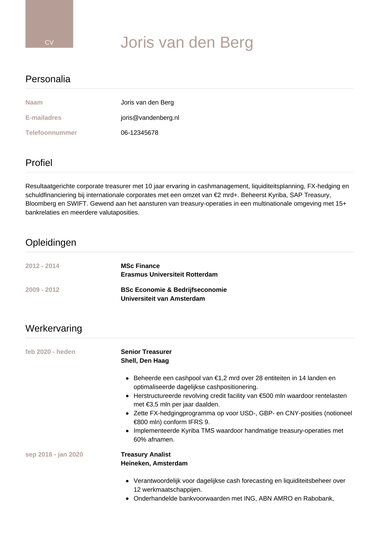 CV Luxe voor treasurer