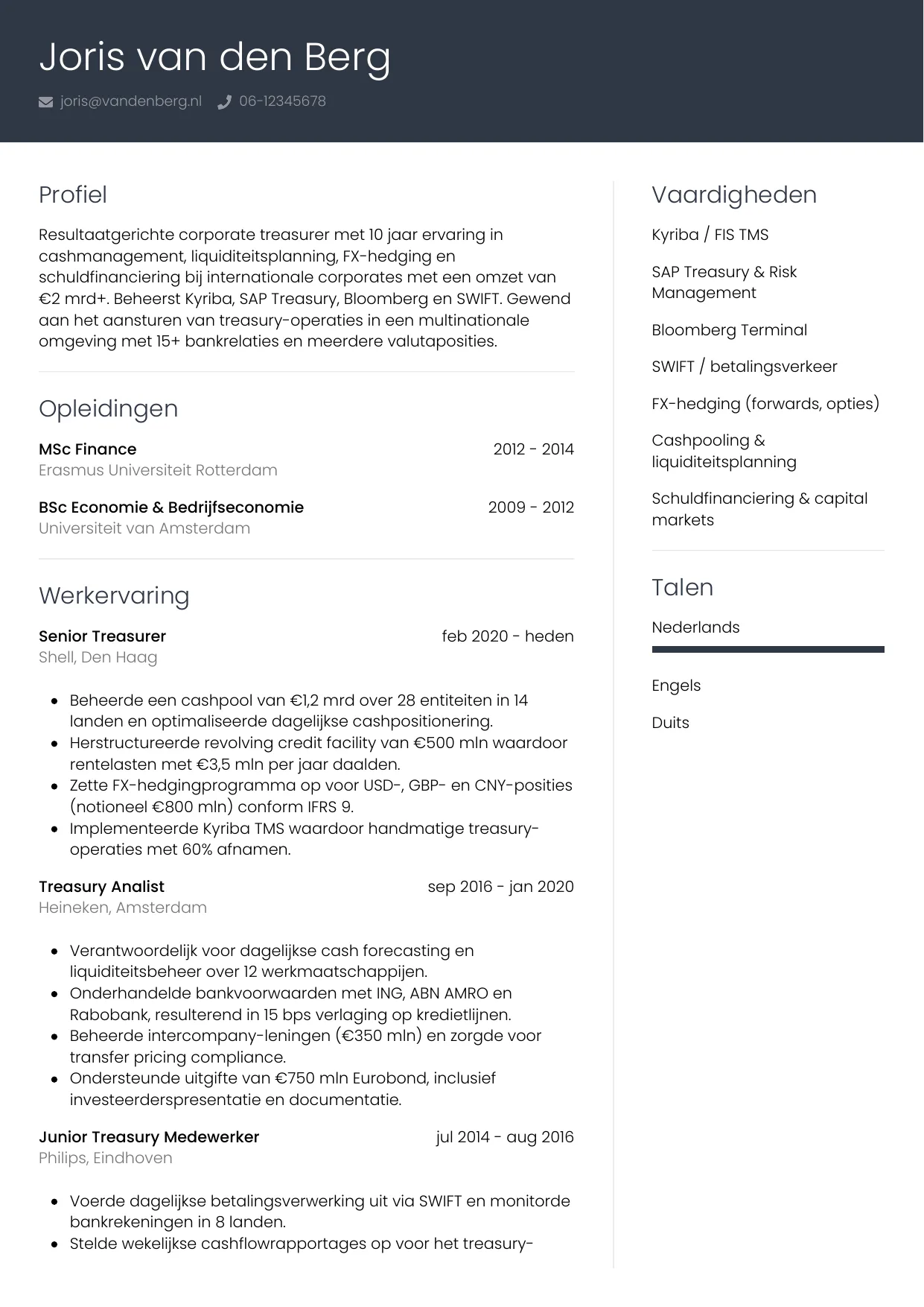 CV Professioneel voor treasurer