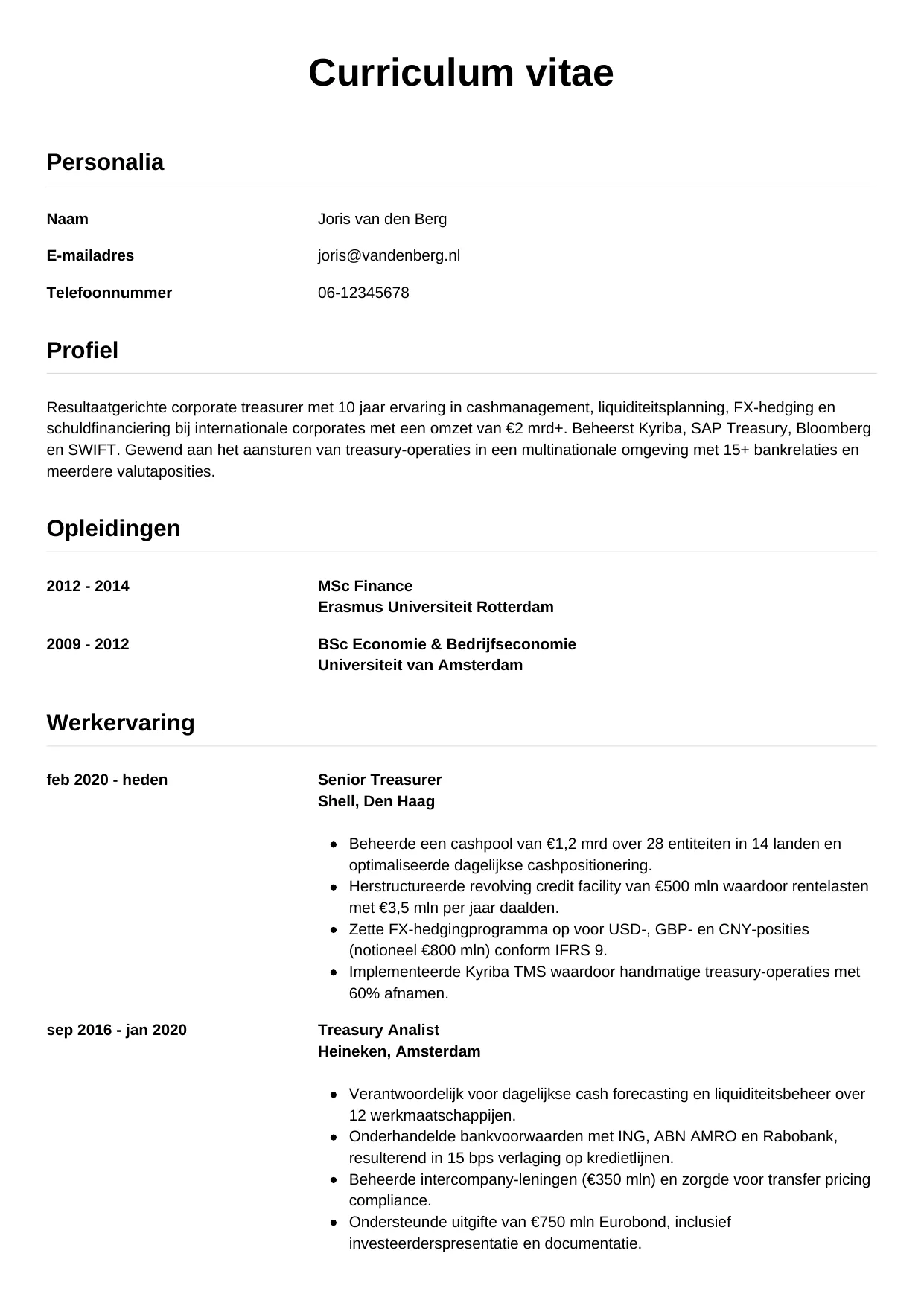 CV Simpel voor treasurer