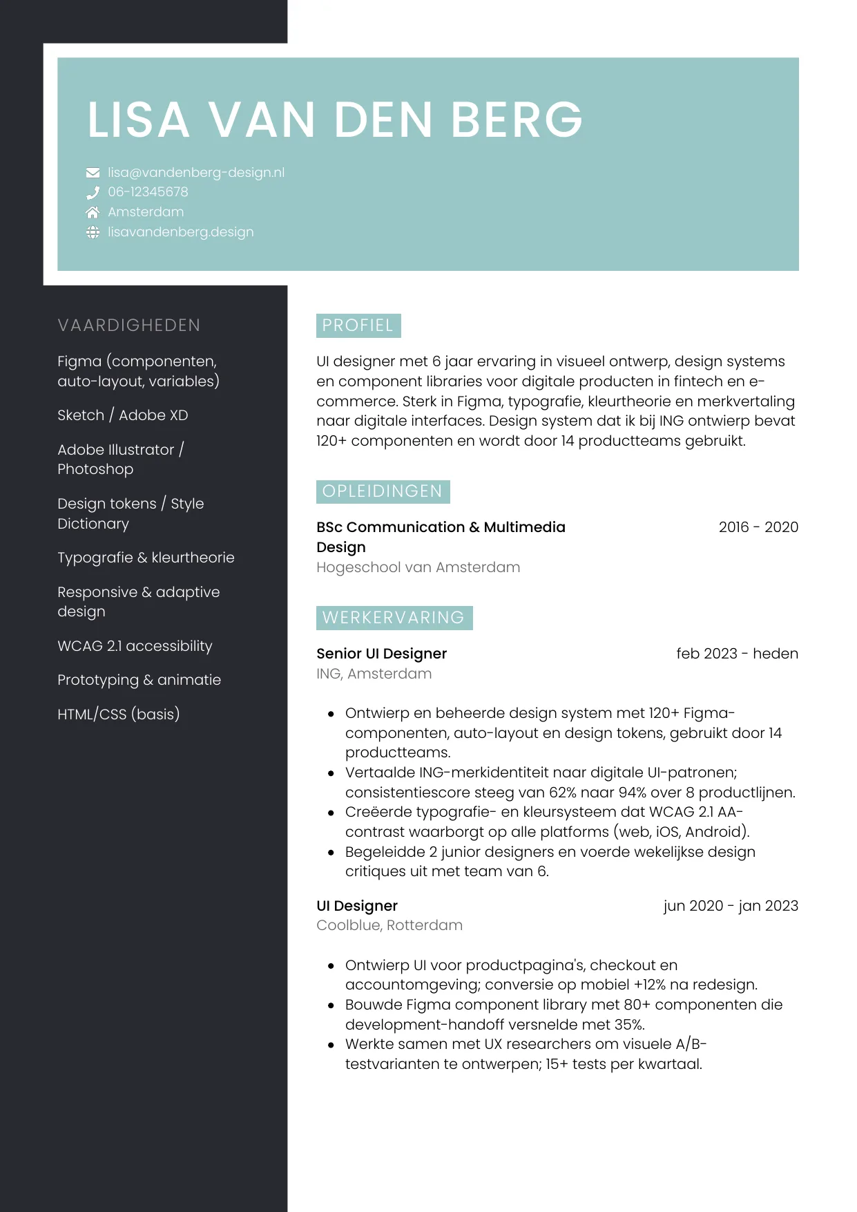 CV Elegant voor ui designer
