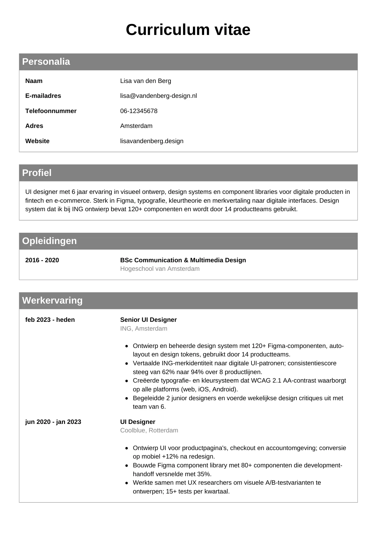 CV Klassiek voor ui designer