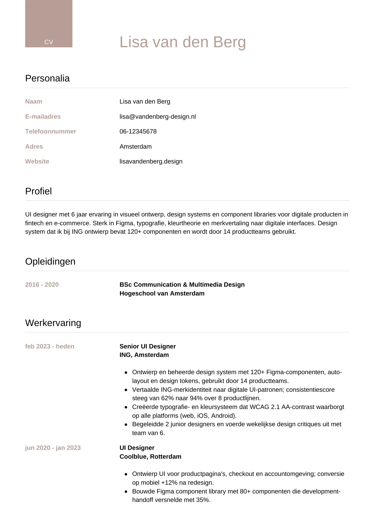 CV Luxe voor ui designer