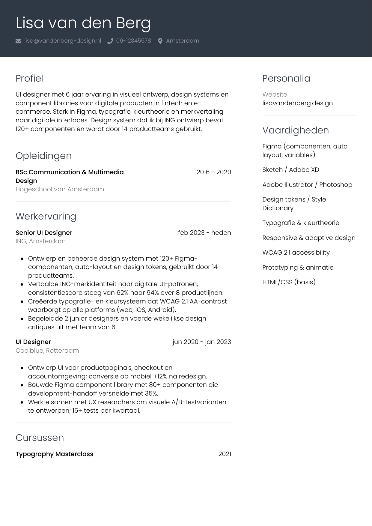 CV Professioneel voor ui designer