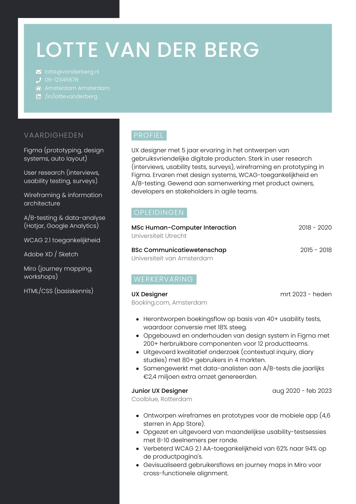 CV Elegant voor ux designer