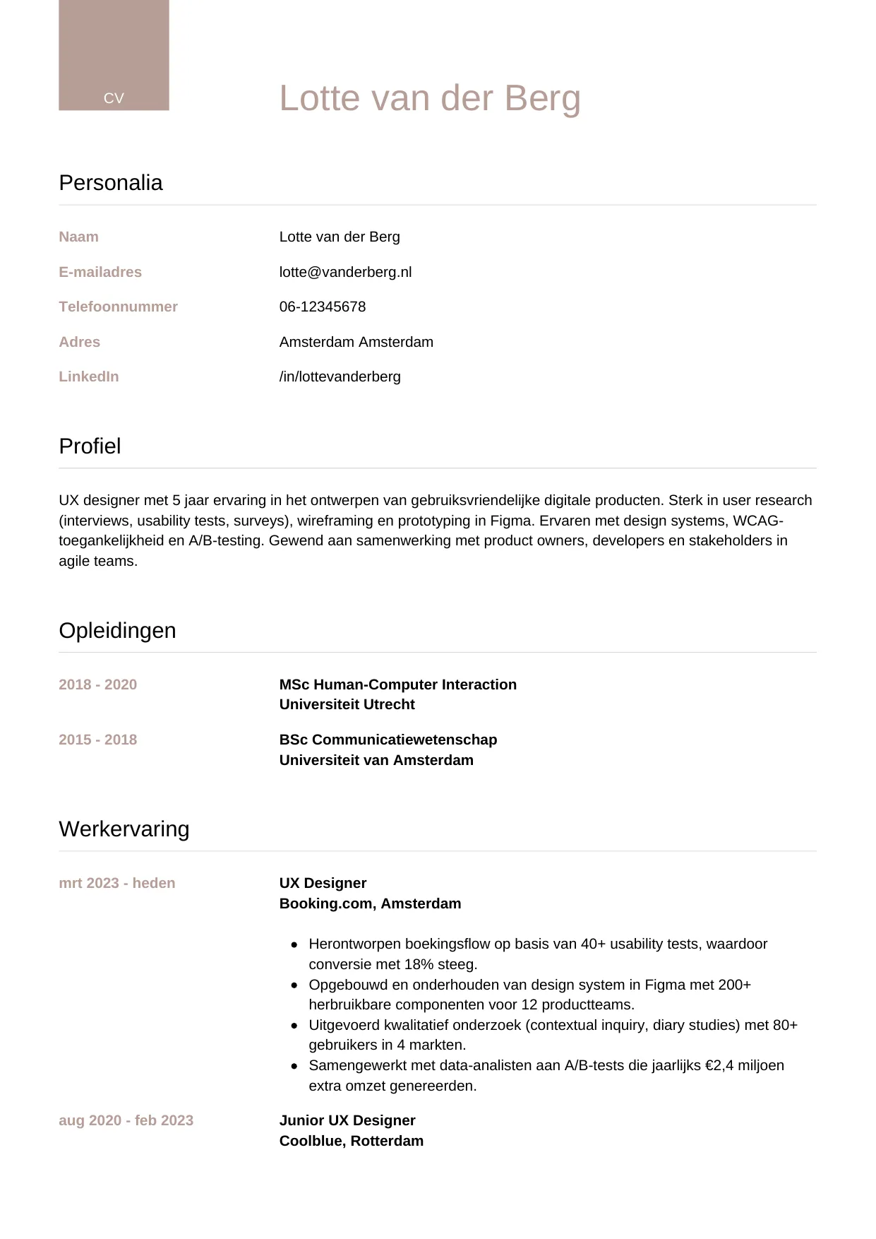 CV Luxe voor ux designer