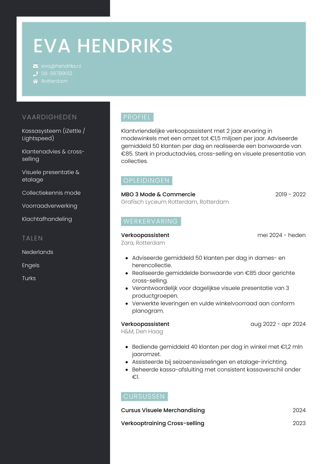CV Elegant voor verkoopassistent