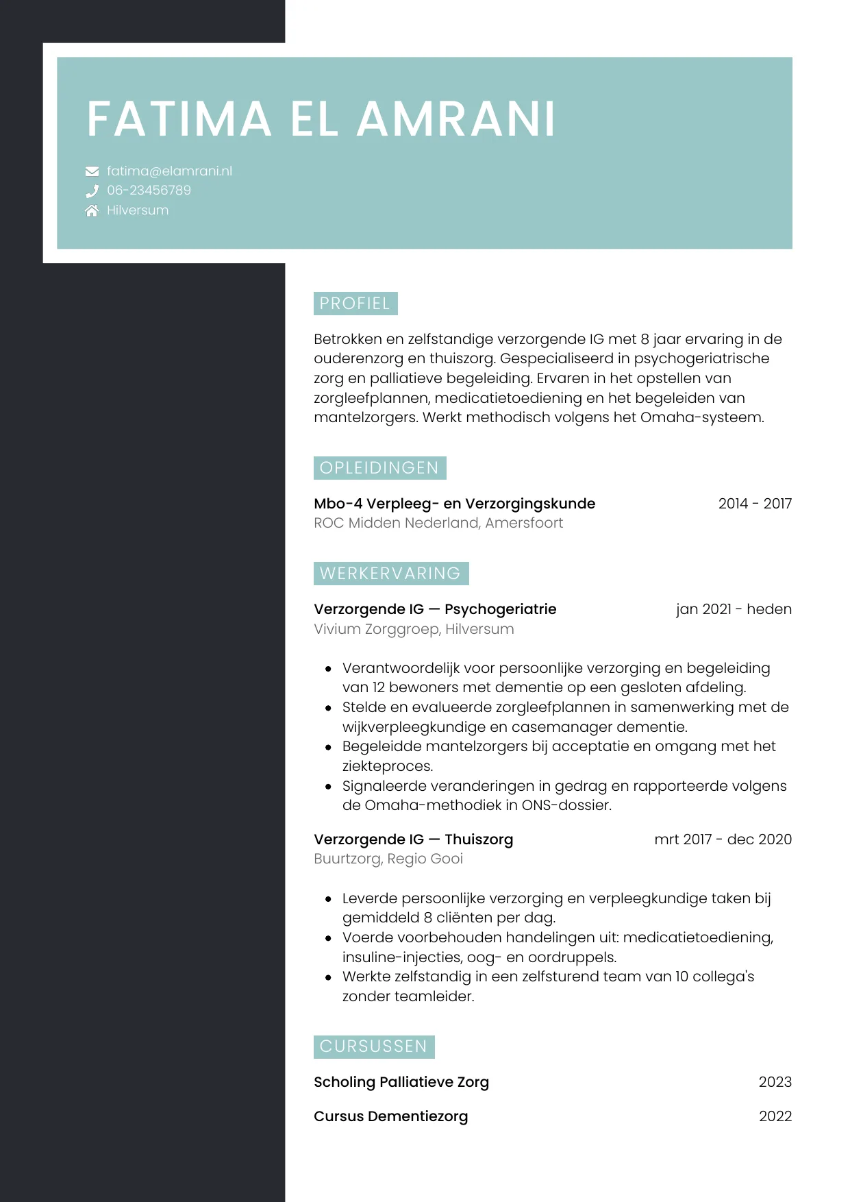 Voorbeeld CV voor verzorgende ig in template Elegant. CV Elegant voor verzorgende ig