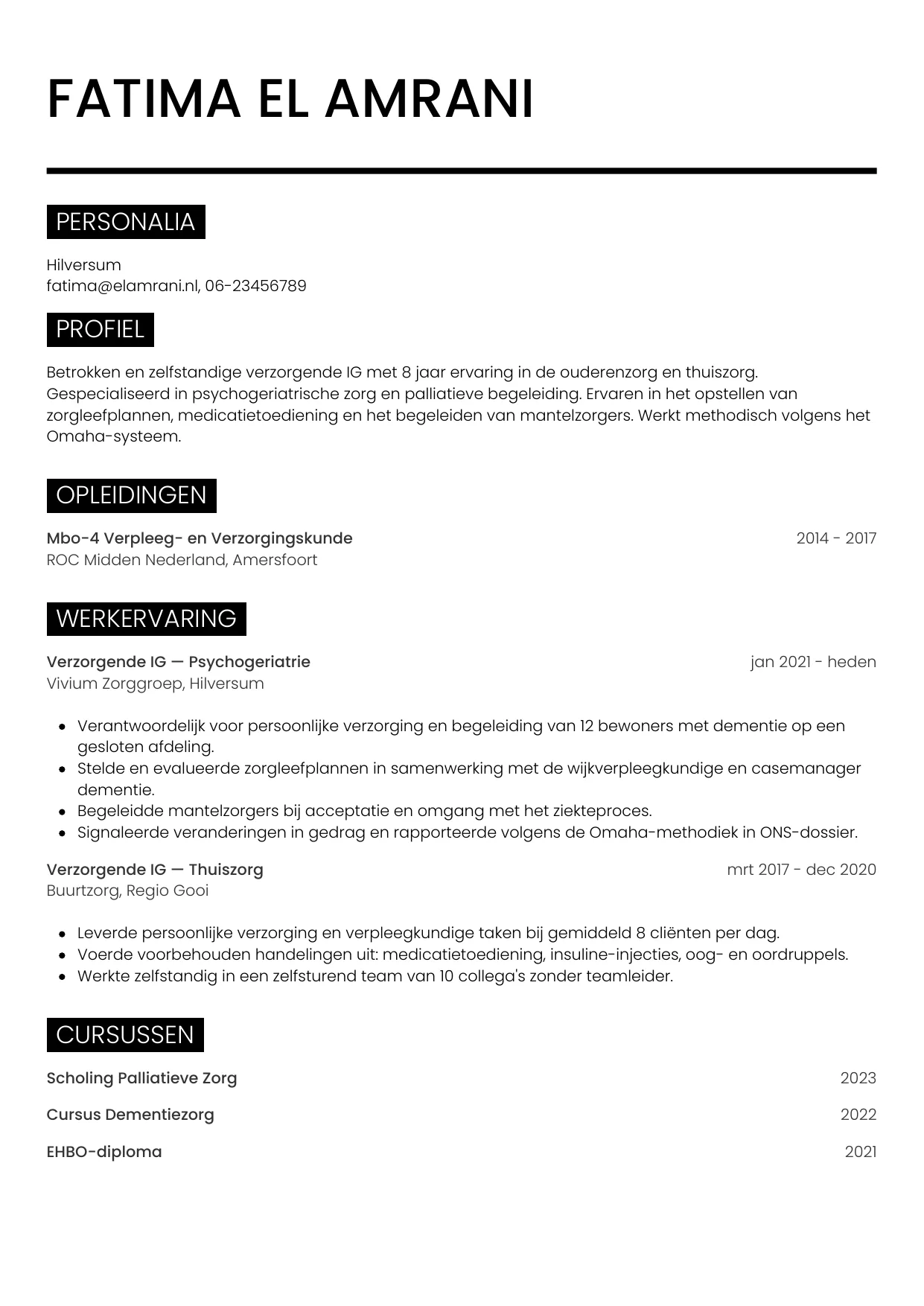 Voorbeeld CV voor verzorgende ig in template Metro. CV Metro voor verzorgende ig