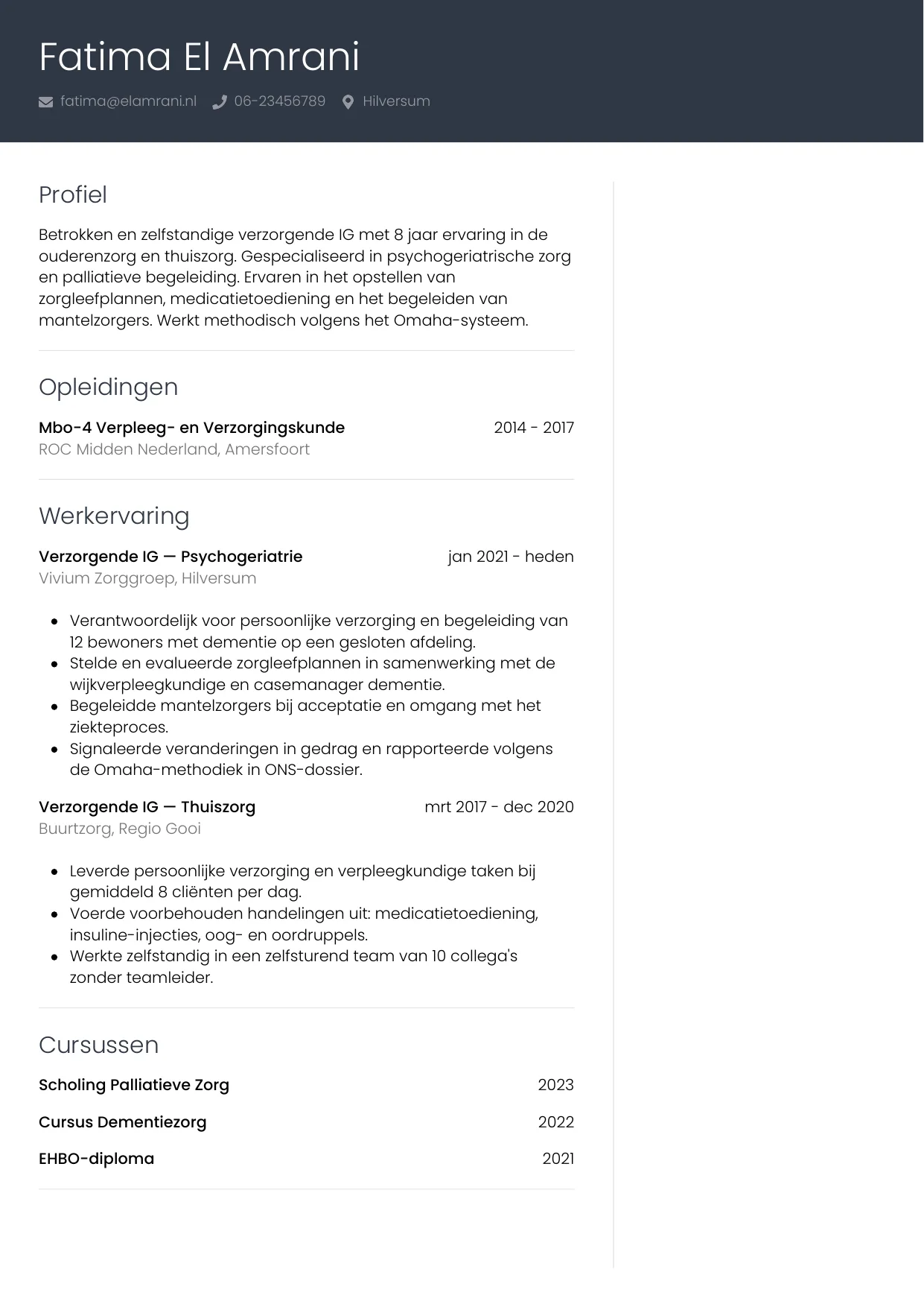 Voorbeeld CV voor verzorgende ig in template Professioneel. CV Professioneel voor verzorgende ig