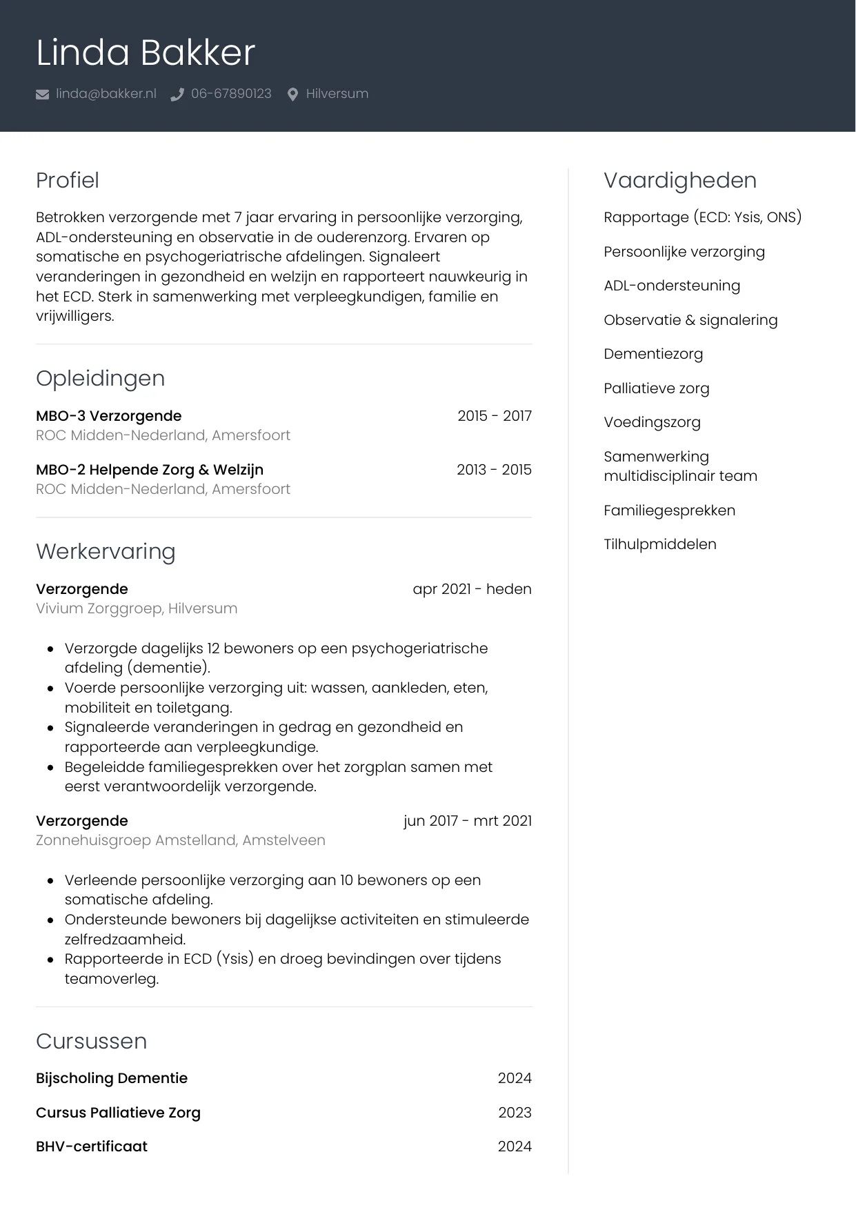 Voorbeeld CV voor verzorgende in template Professioneel. CV Professioneel voor verzorgende