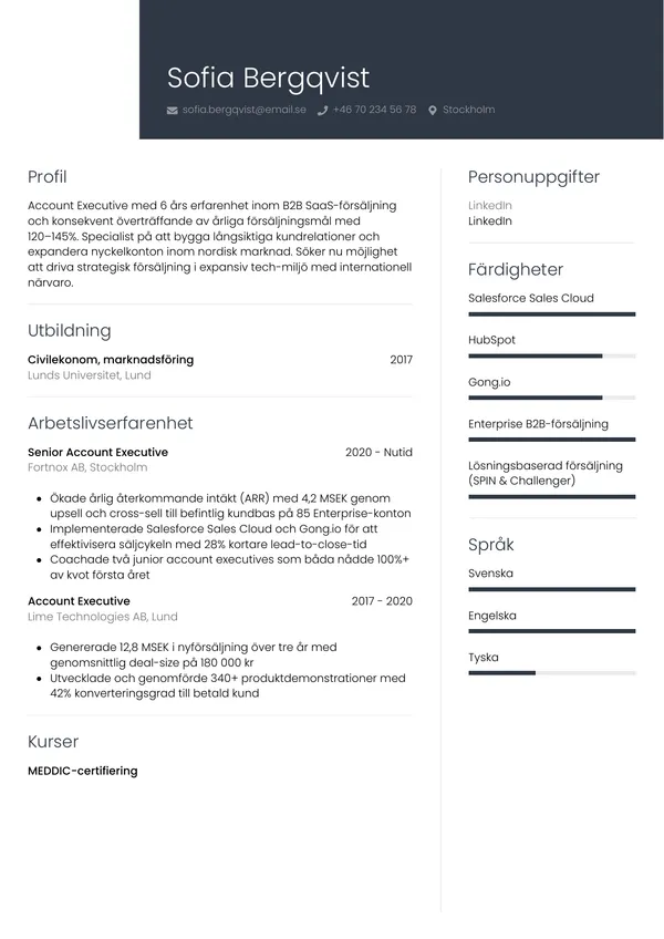 CV template Professioneel — gratis cv-sjabloon voor je sollicitatie