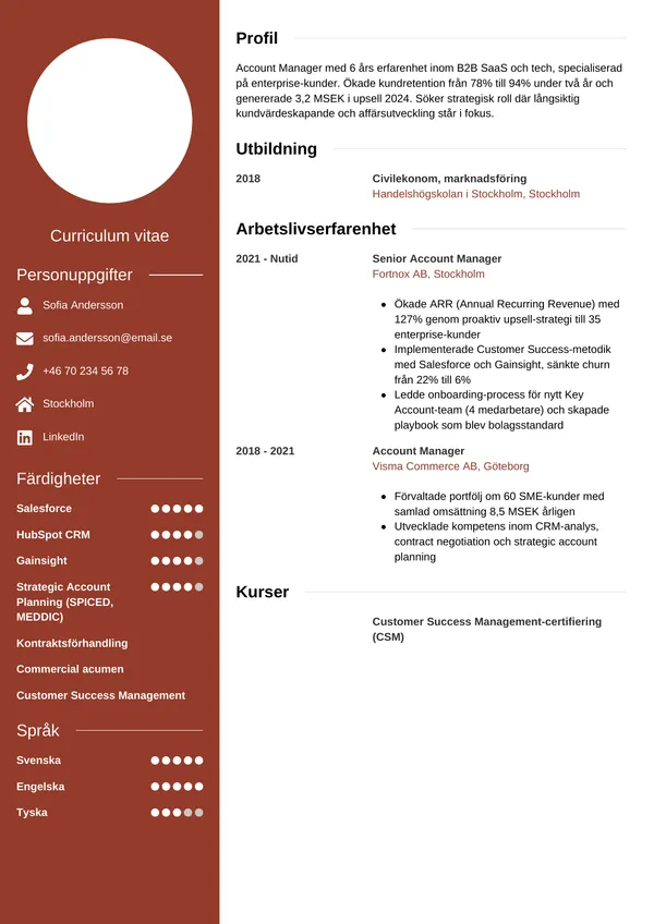 CV-sjabloon voorbeeld: CV-sjabloon met twee kolommen — stijlvol maar risicovol