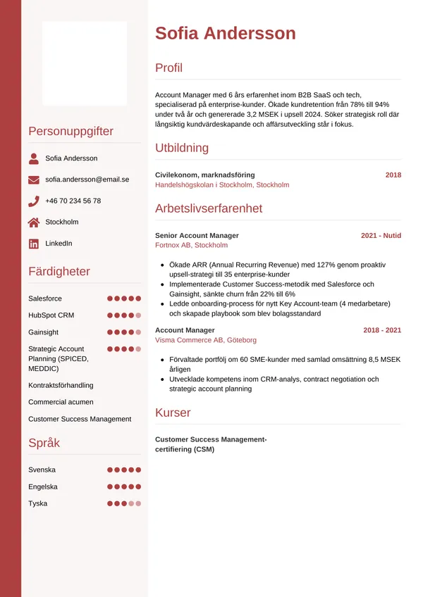 CV template Verticaal